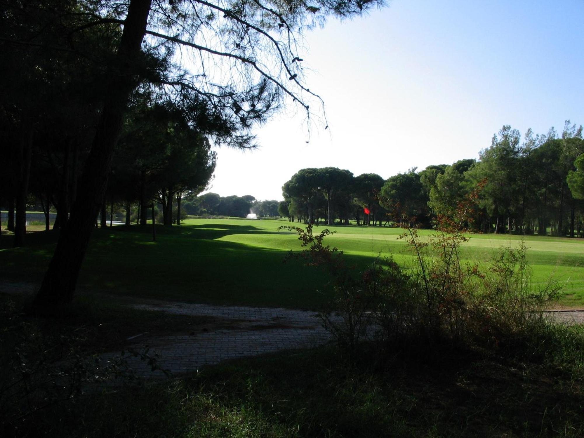 באד שוורטאו Waldhotel Riesebusch מראה חיצוני תמונה